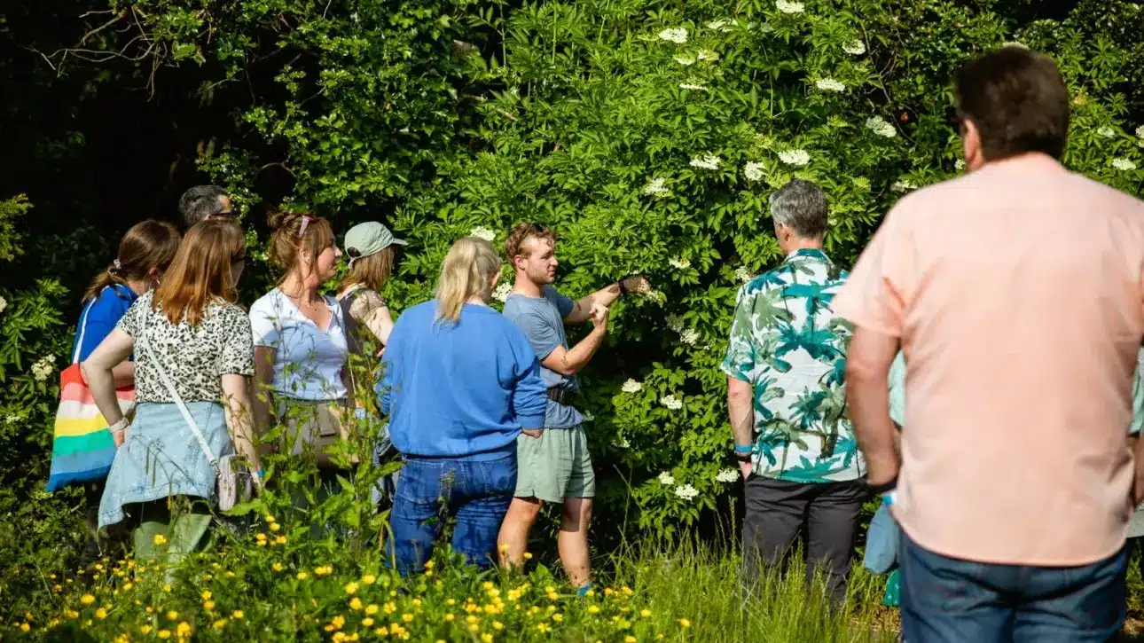 A group of people stands outdoors in a green area with bushes and yellow flowers, celebrating International Women's Day. One person in a blue shirt gestures towards a plant, while others watch attentively, surrounded by lush greenery as sunlight filters through the trees.